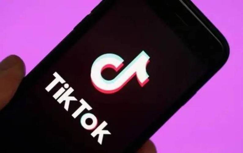 Tiktok Users Share Home Safety Technology, Protection Upgrade 