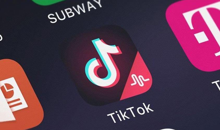 TikTok And The Science Of Bread