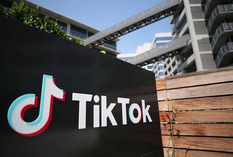 TikTok's Latest Innovation: AI-Powered Pet Recognition 